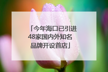今年海口已引进48家国内外知名品牌开设首店